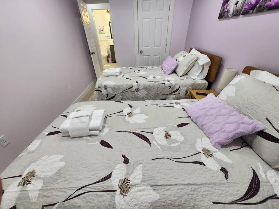 Modern Island Serenity!-pet-friendly Villa